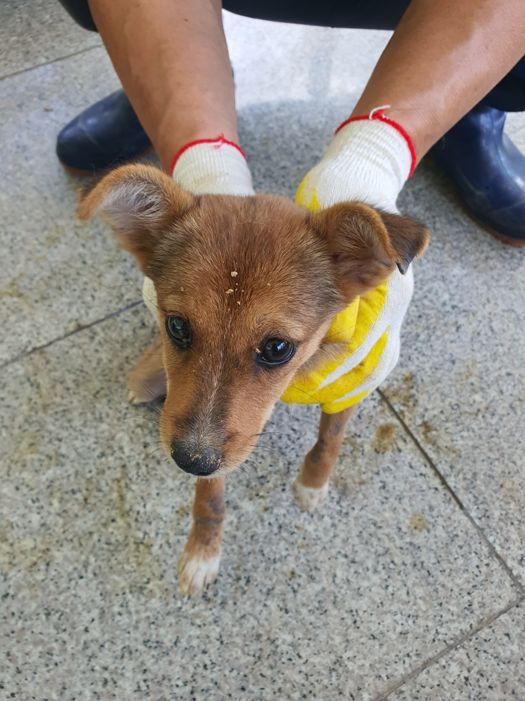 구미시 동물보호센터_447508202400813